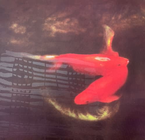 Diane Dawson, Glance II