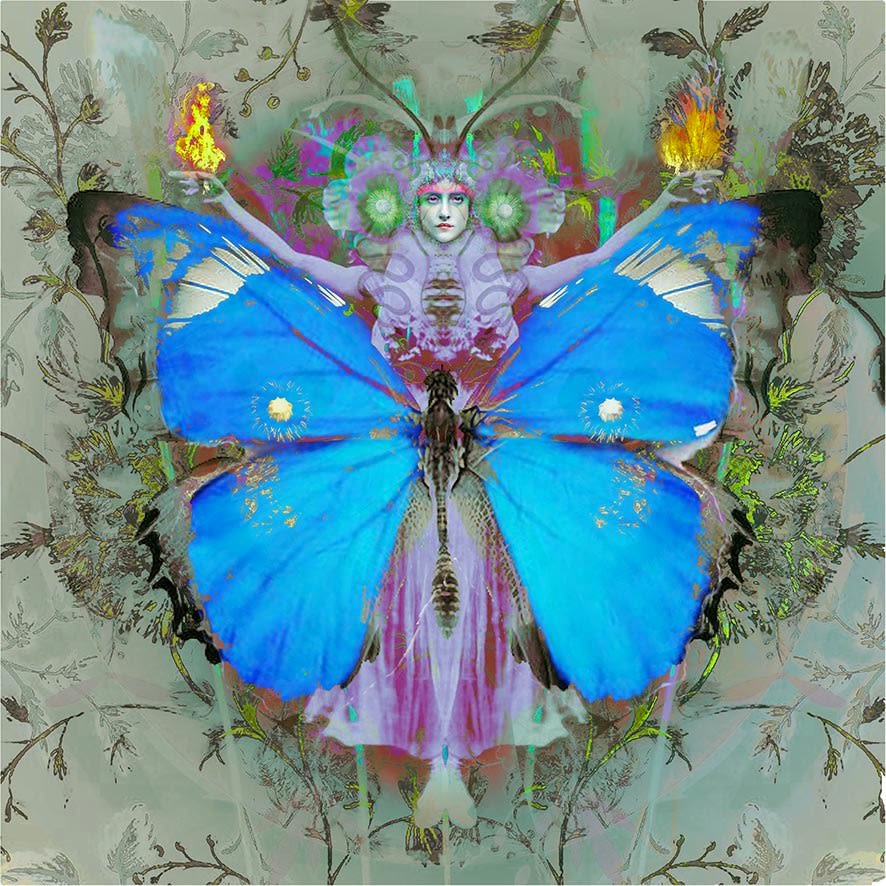 Ashley Cook, The Metamorphsis