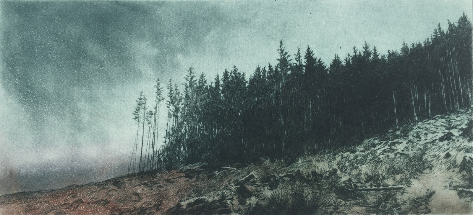 Gregory Moore, The Treeline, 2022