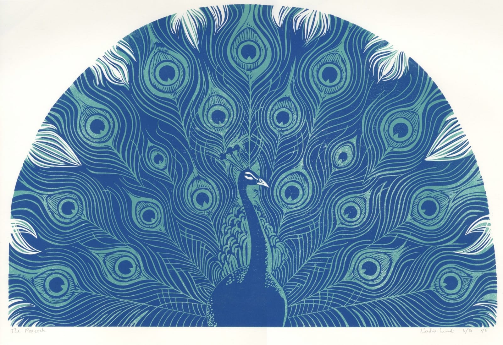 Nadia Lucchesi, The Peacock, 2022