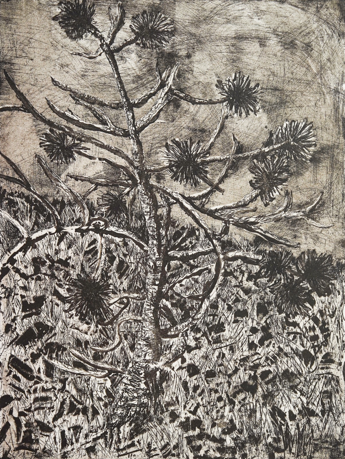 Zoë Kean, Weathered, 2024