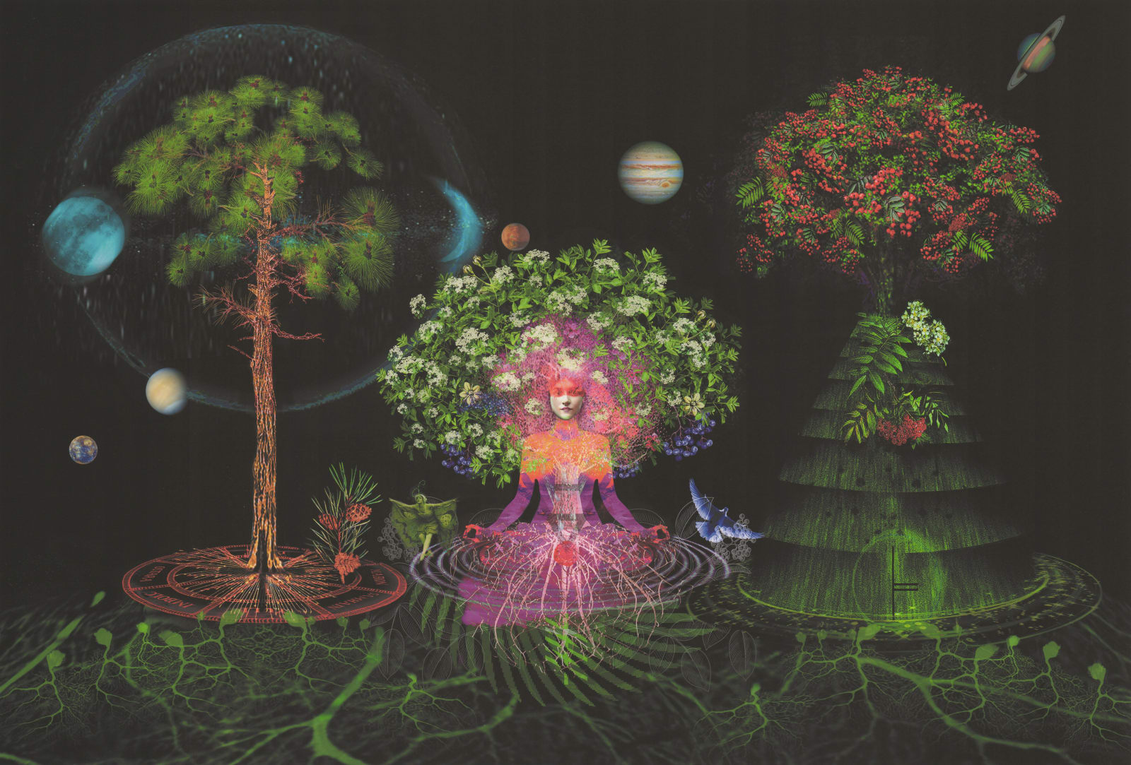 Ashley Cook, The Enchanted Forest, 2022