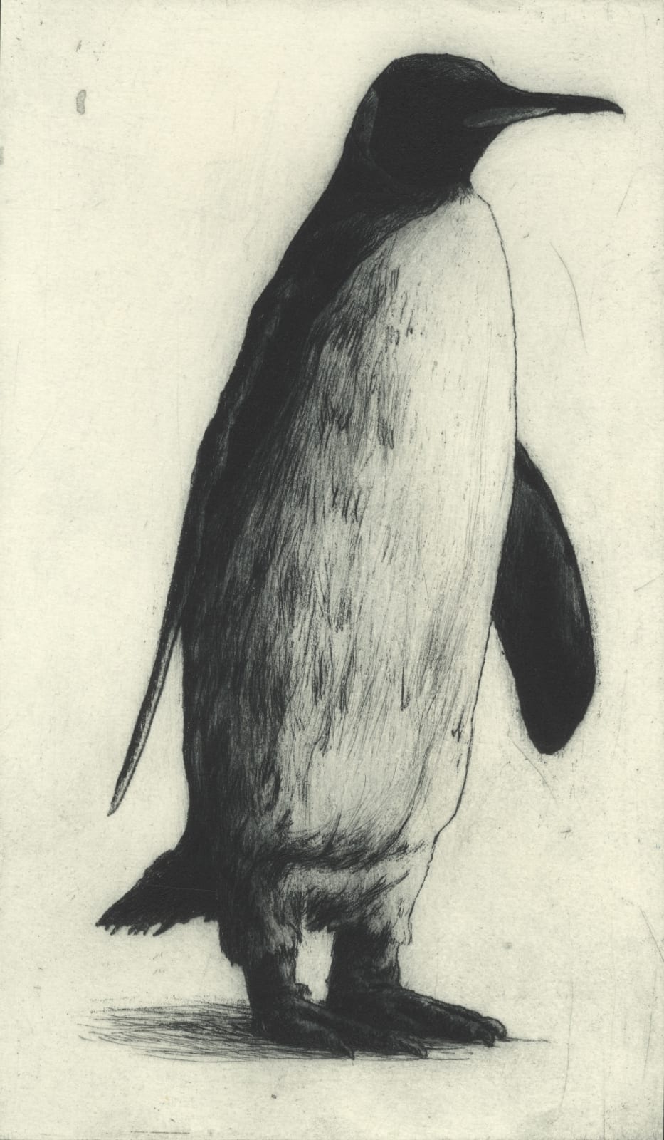 Helen Fay, Sentry, 2012