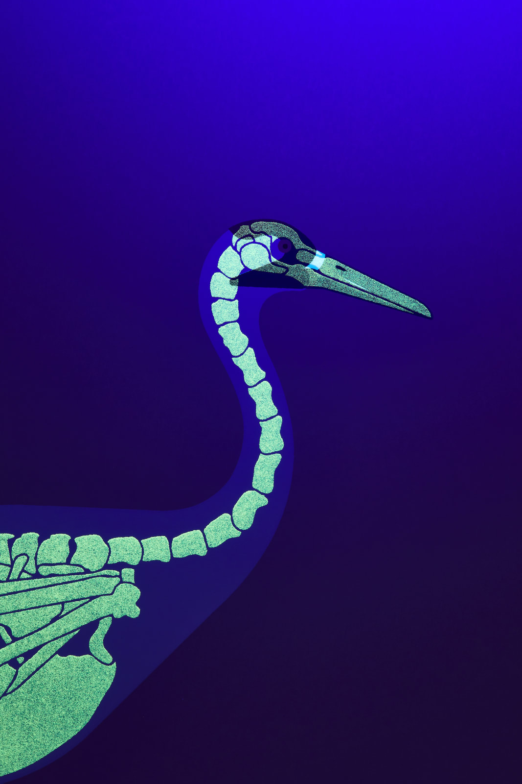 Under the Skin, Whooping Crane, 2019
