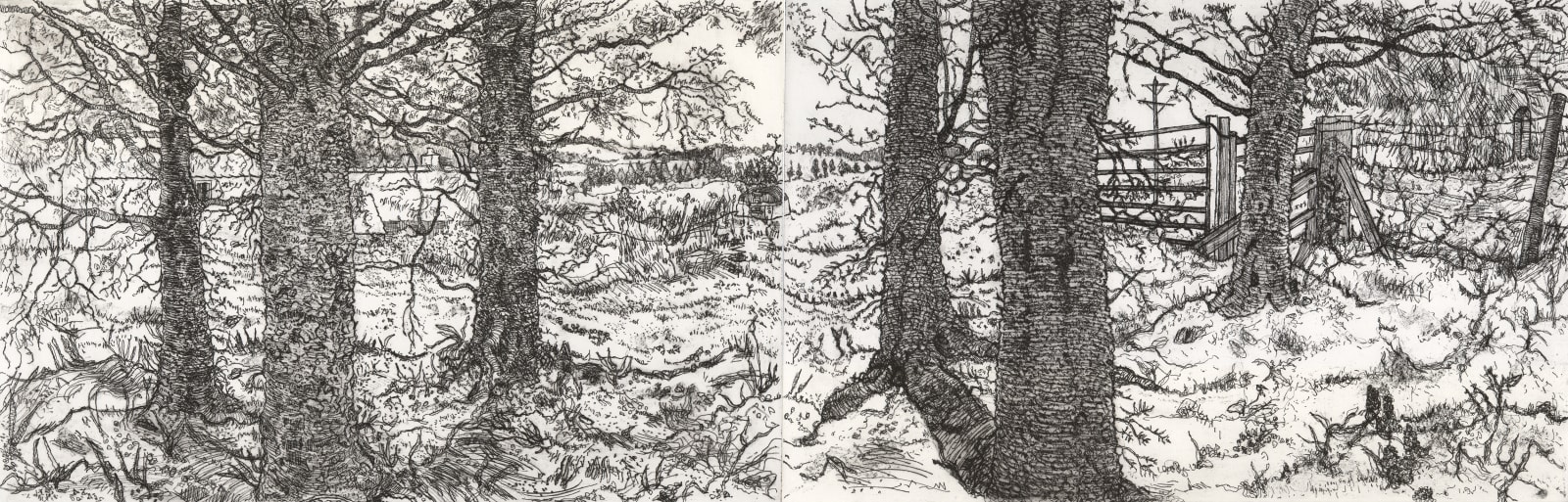 Fiona MacKinnon, Moorhen's Nest, 2025