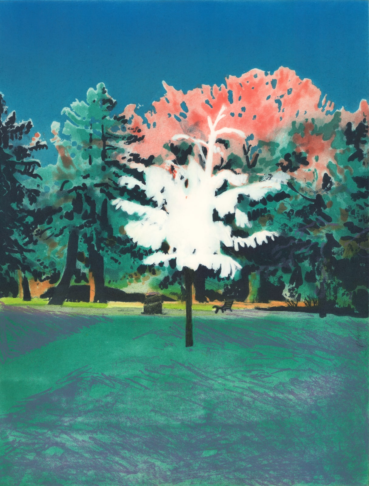 Alistair Gow, Point of Arrival, 2023