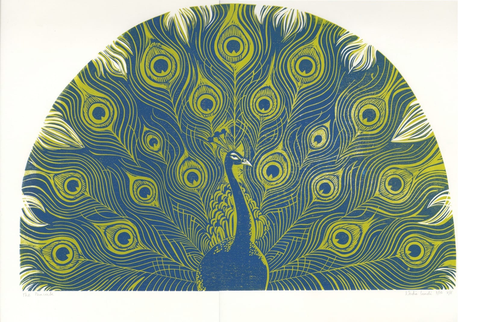 Nadia Lucchesi, The Peacock, 2022