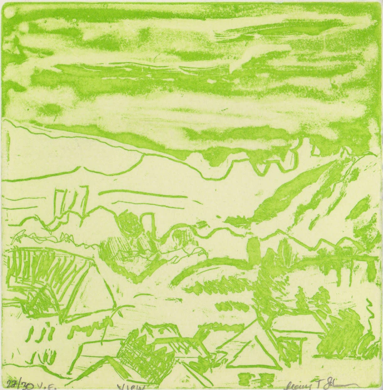 Mary T. Johnson, View, 2024