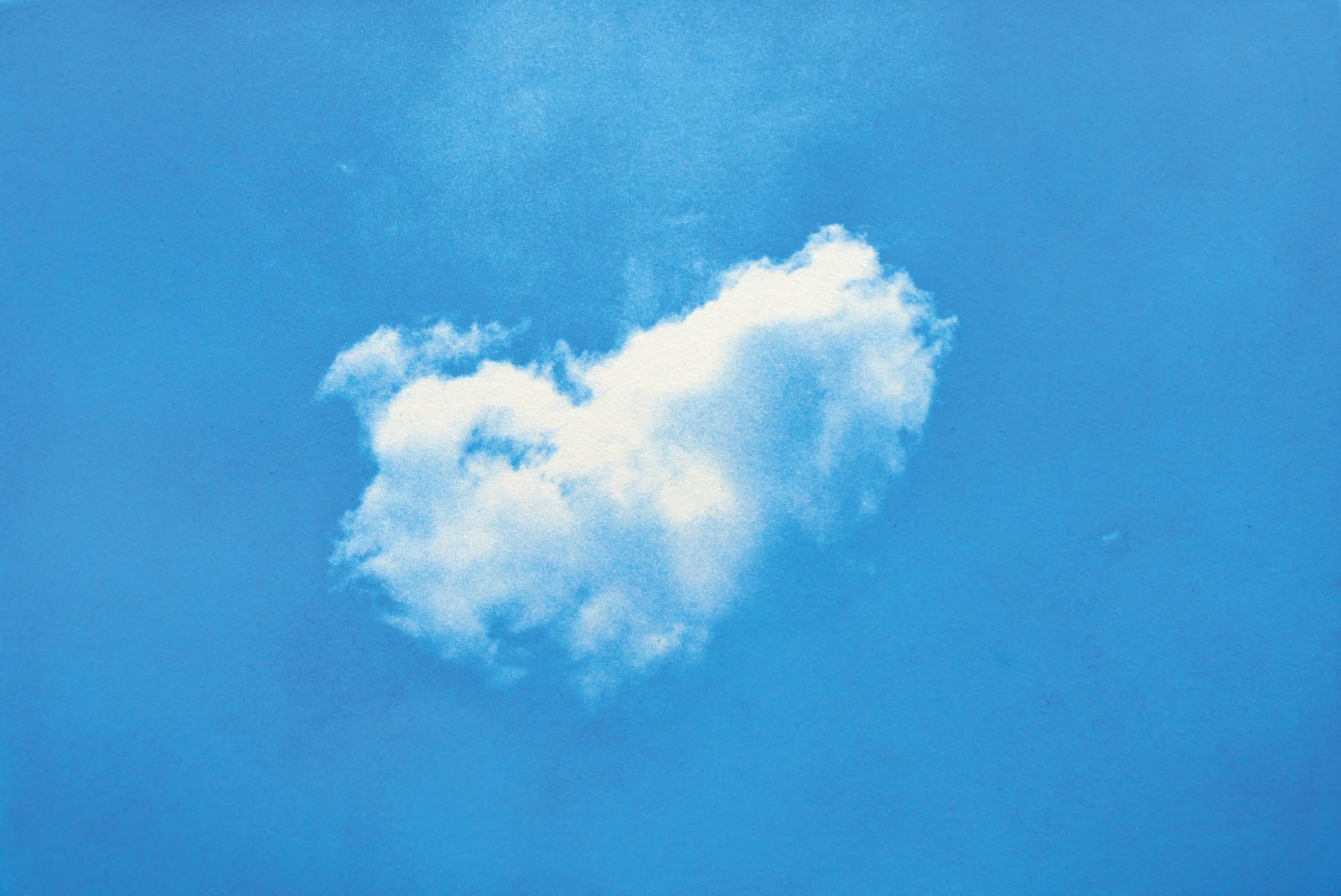 Rohini Devasher, Always take the weather with you, 2014