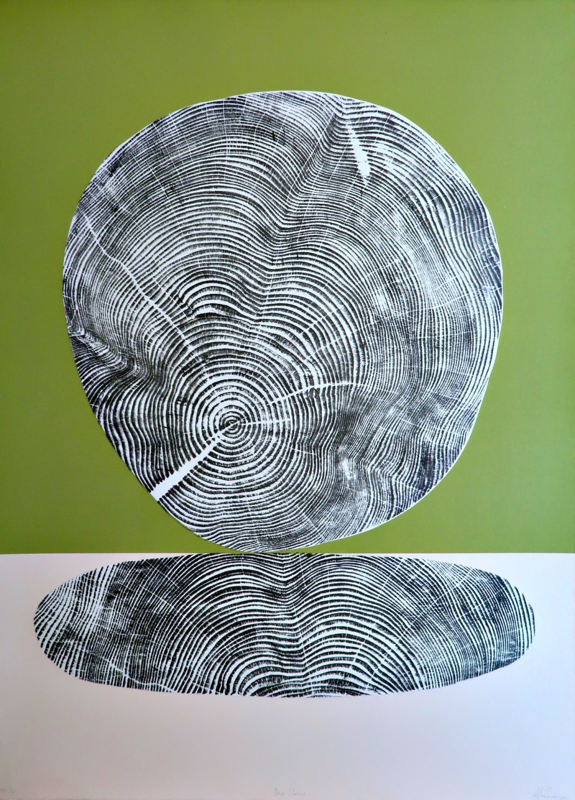 Alan Cameron, Drop Shadow, 2024