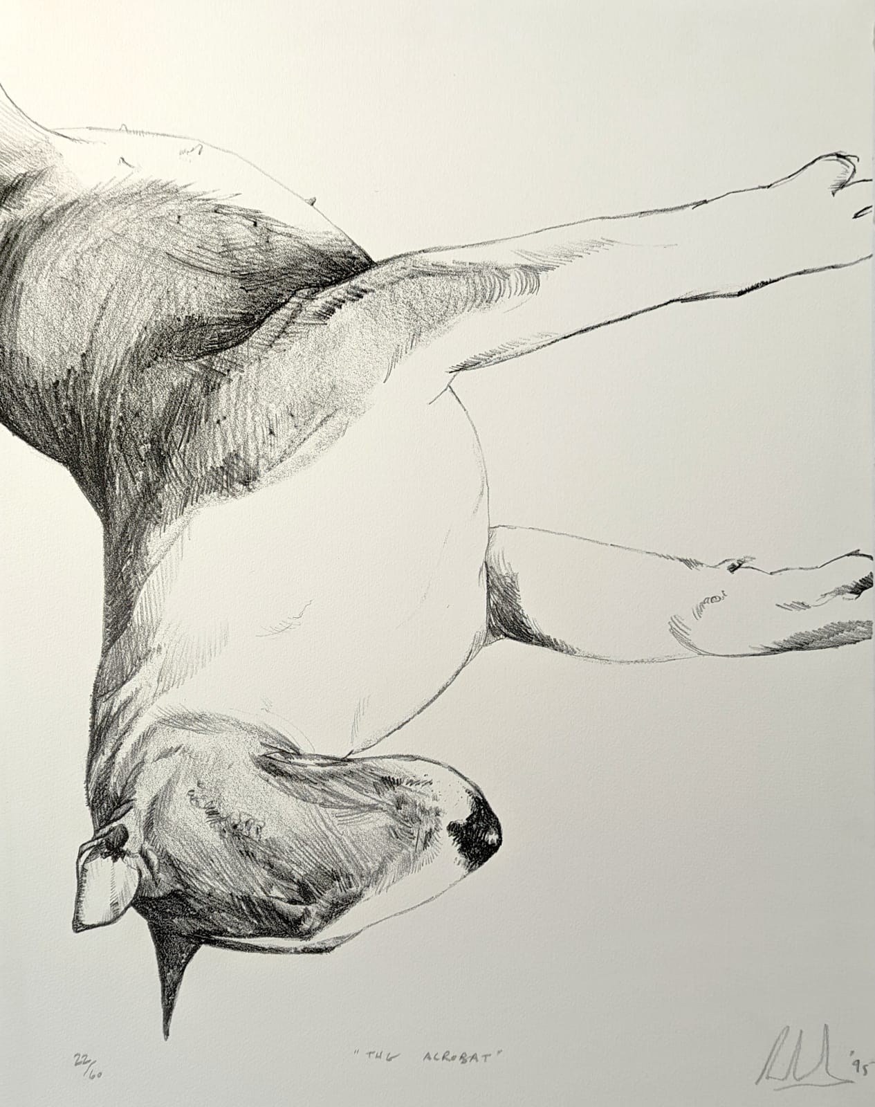 Ray Richardson, The Acrobat, 1996