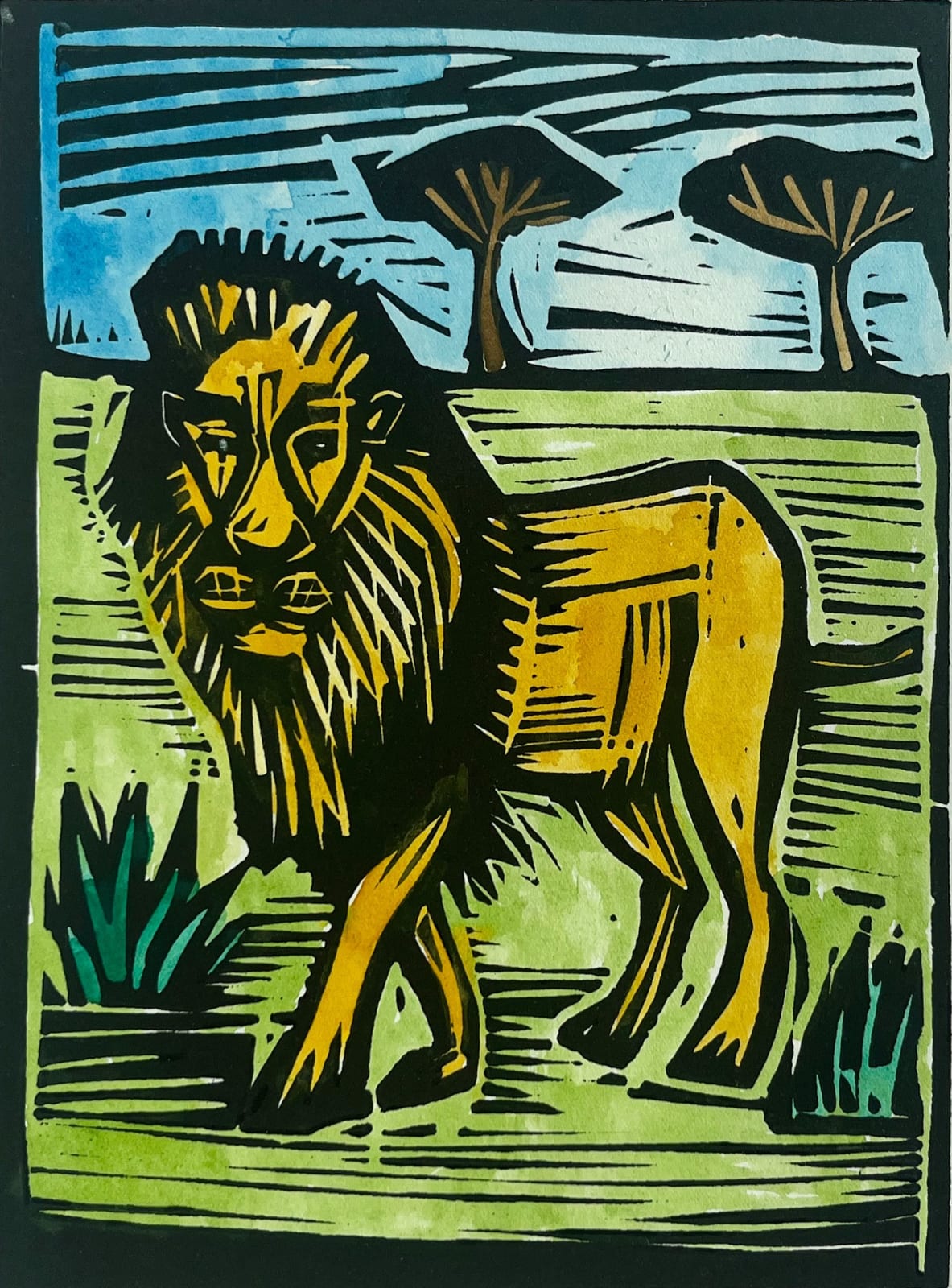Damian Henry, Lion