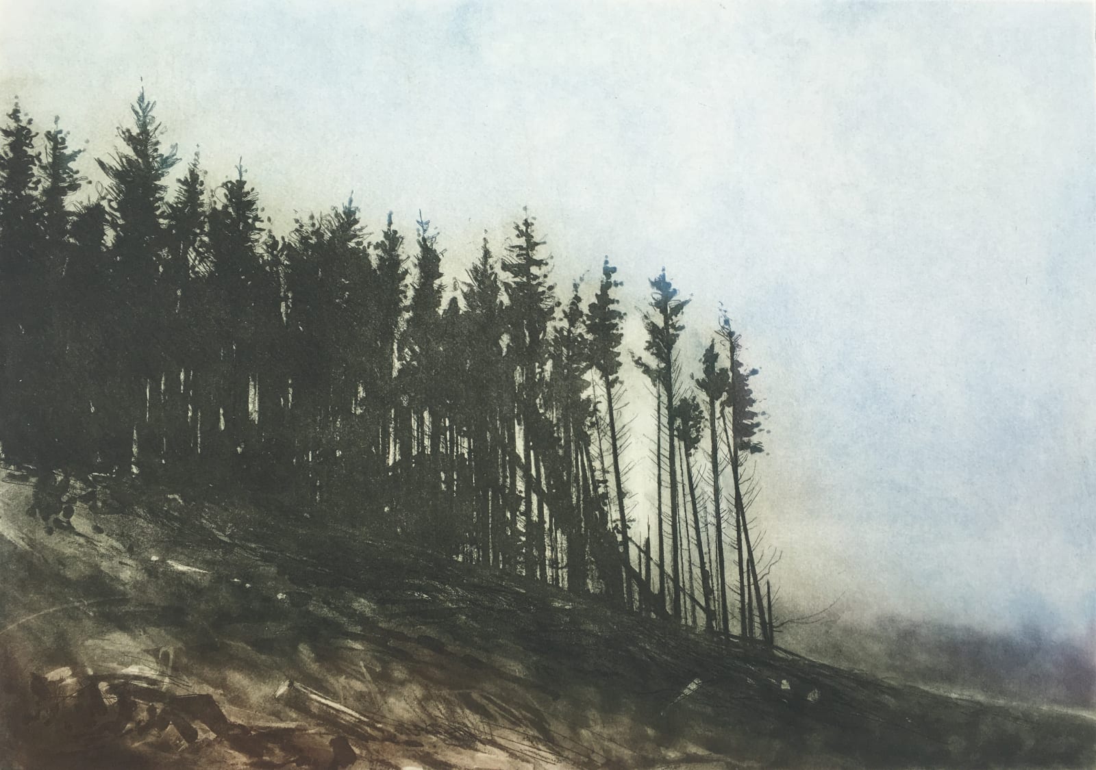 Gregory Moore, Clearing, 2017