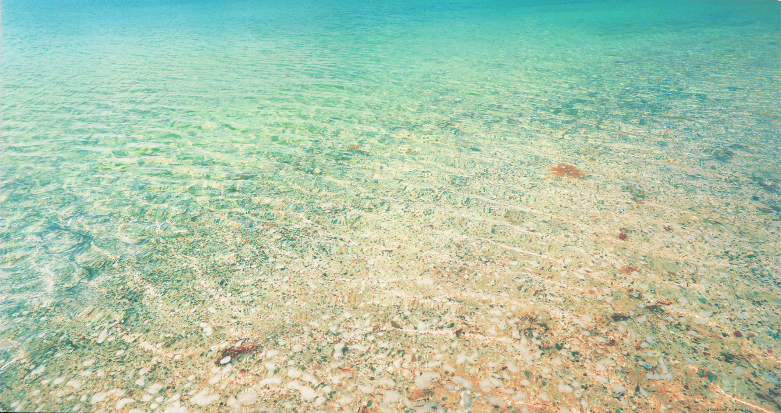 John Mackechnie, Lochaber Shore, 2020