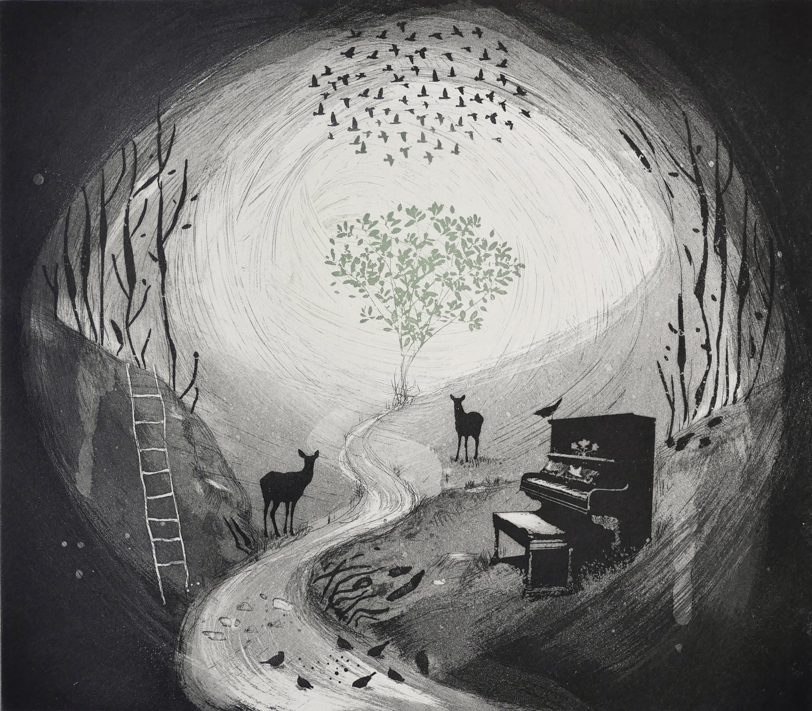 Fiona Watson, On Leaving Plato's Cave