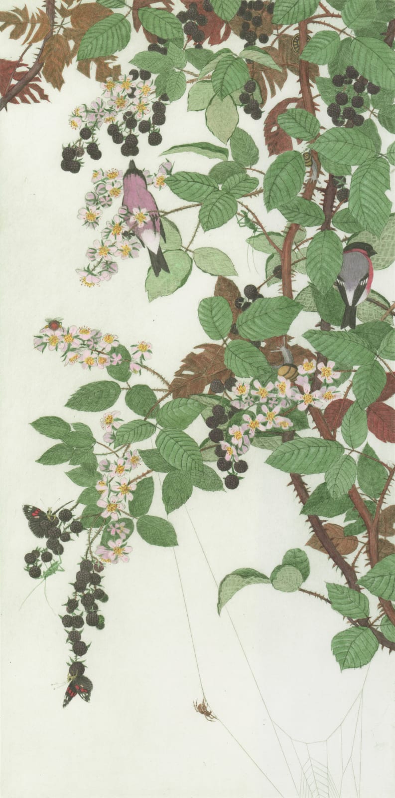 Chris Allan, Brambles and Bullfinches, 2019