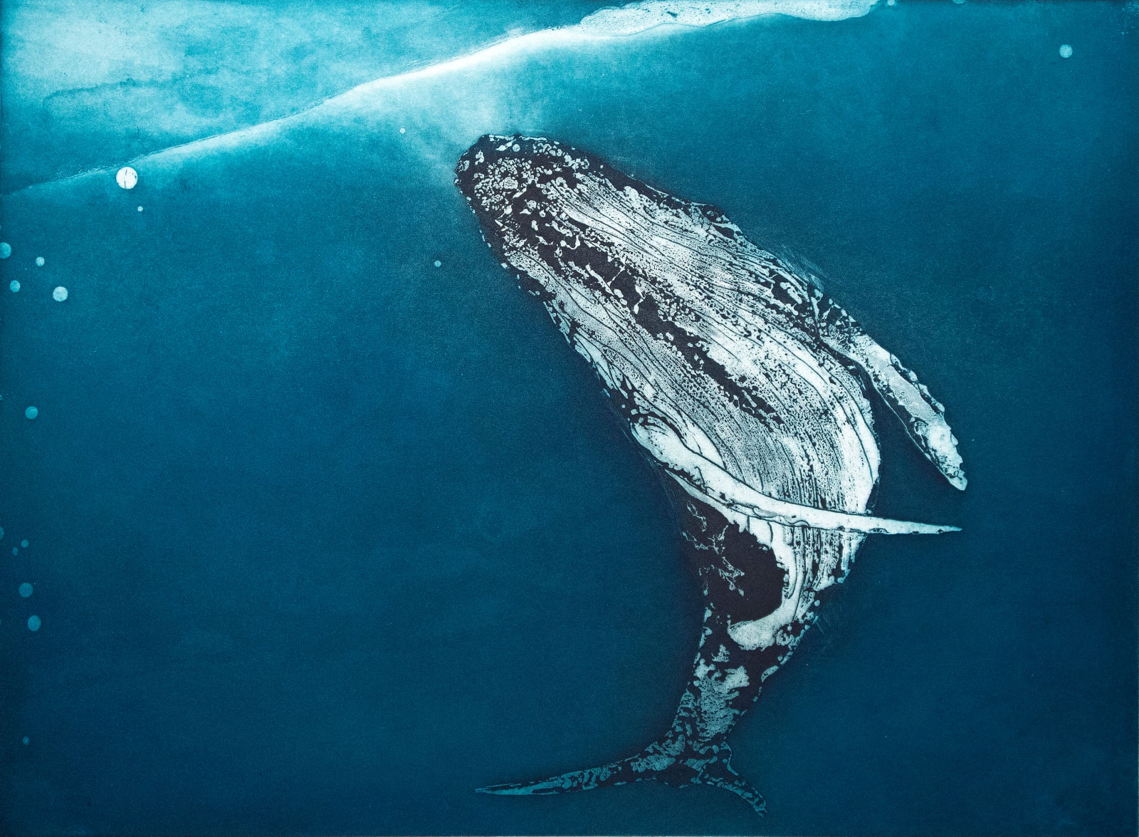 Marion MacPhee, Leviathan VII, 2022