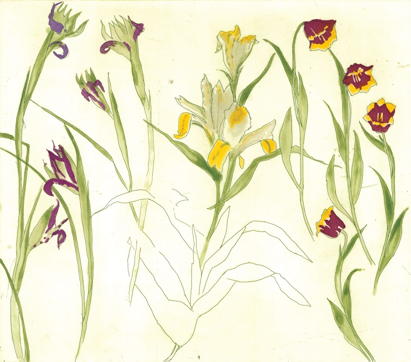 Elizabeth Blackadder, Irises, Lilies, Tulips, 2013