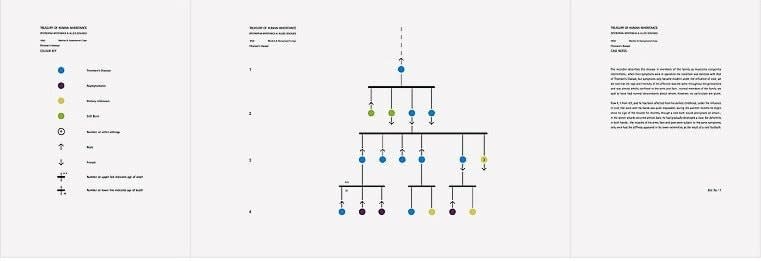 Christine Borland, Treasury of human inheritance Martin & Hansemann's case, 2002