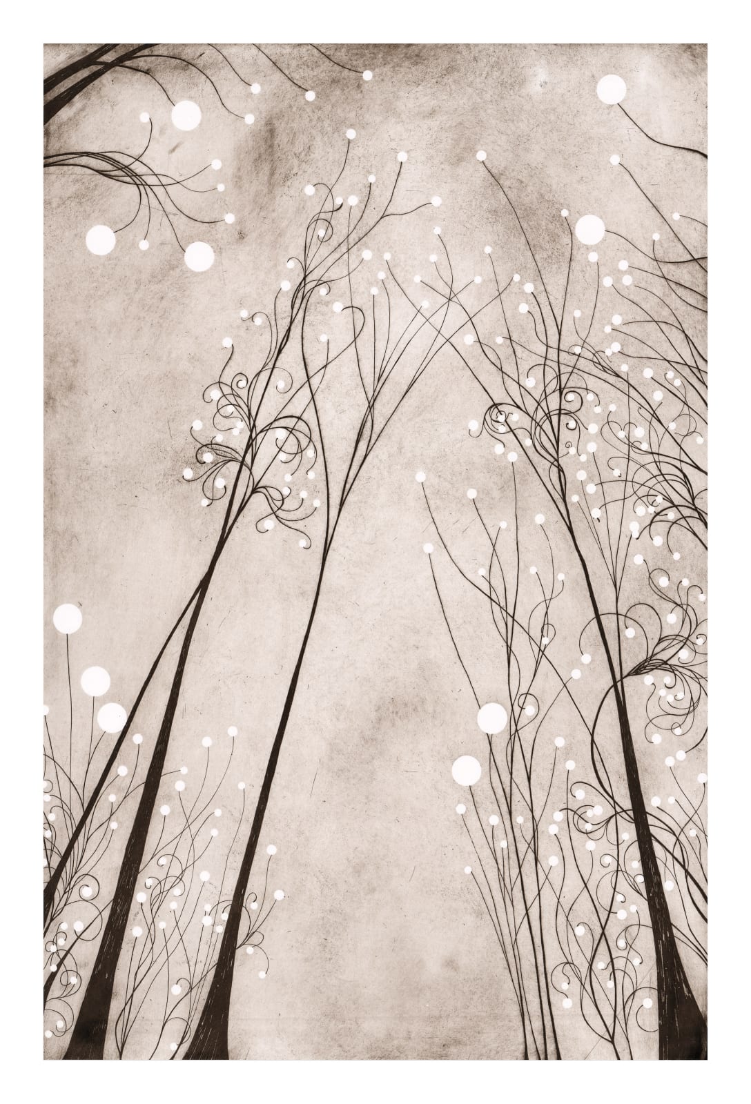 Richard Domenico Ehlert, Floral Combine No. 9 (White Buds) , 2025