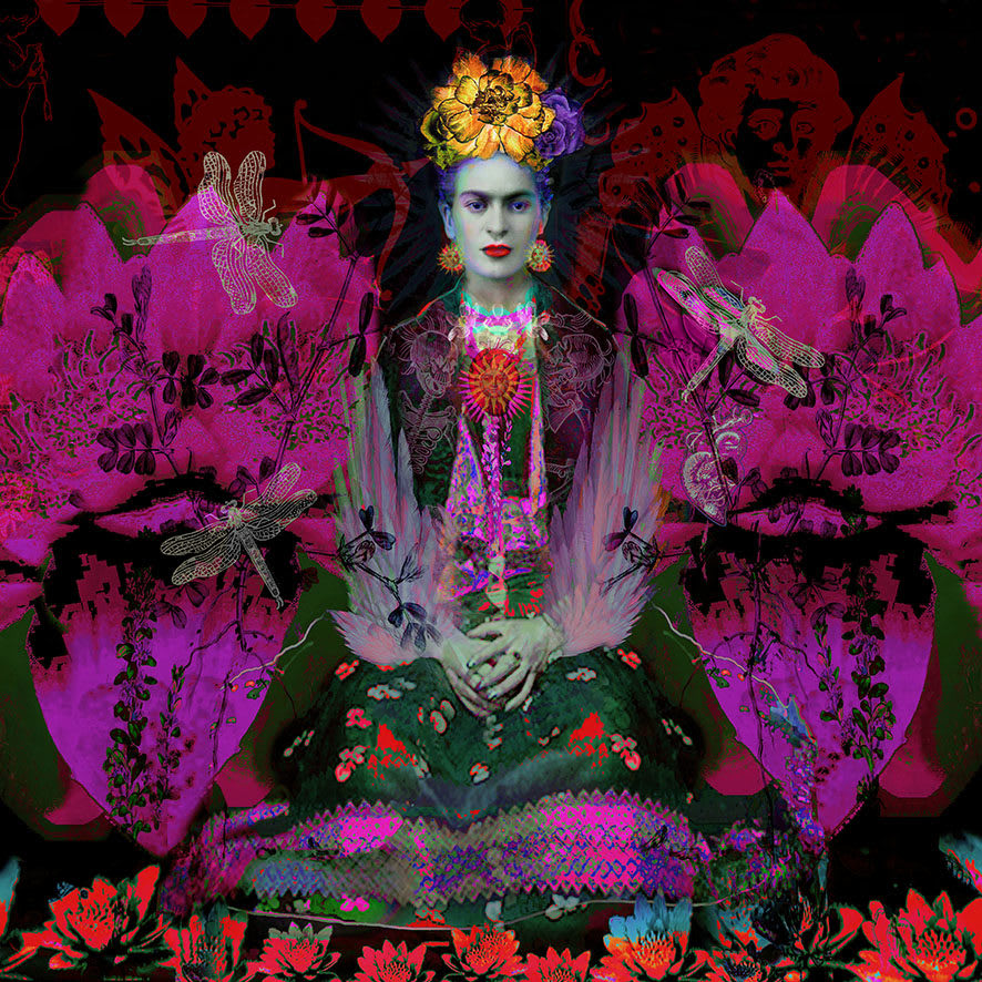 Ashley Cook, Live Life Passionately