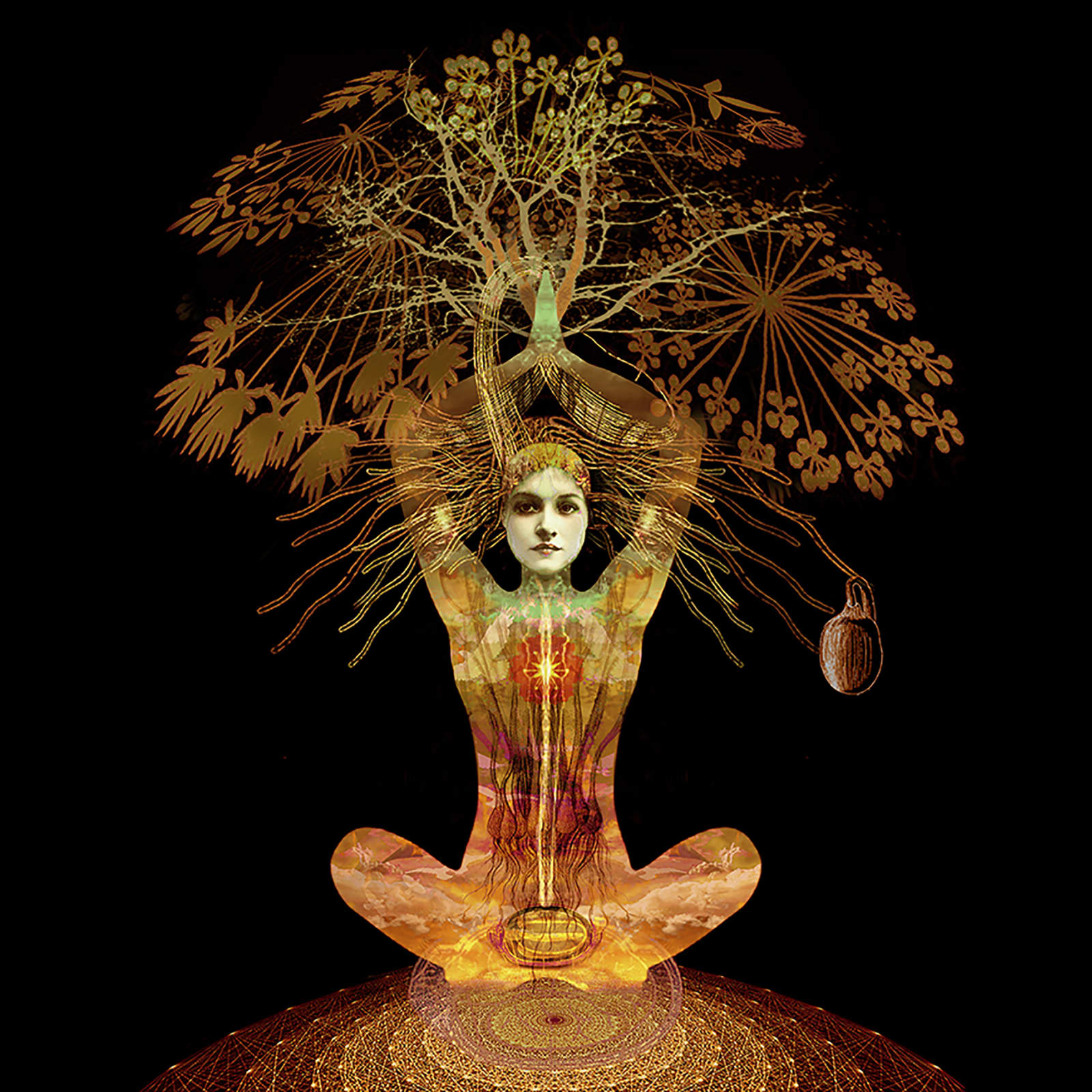 Ashley Cook, A Way Through the Woods