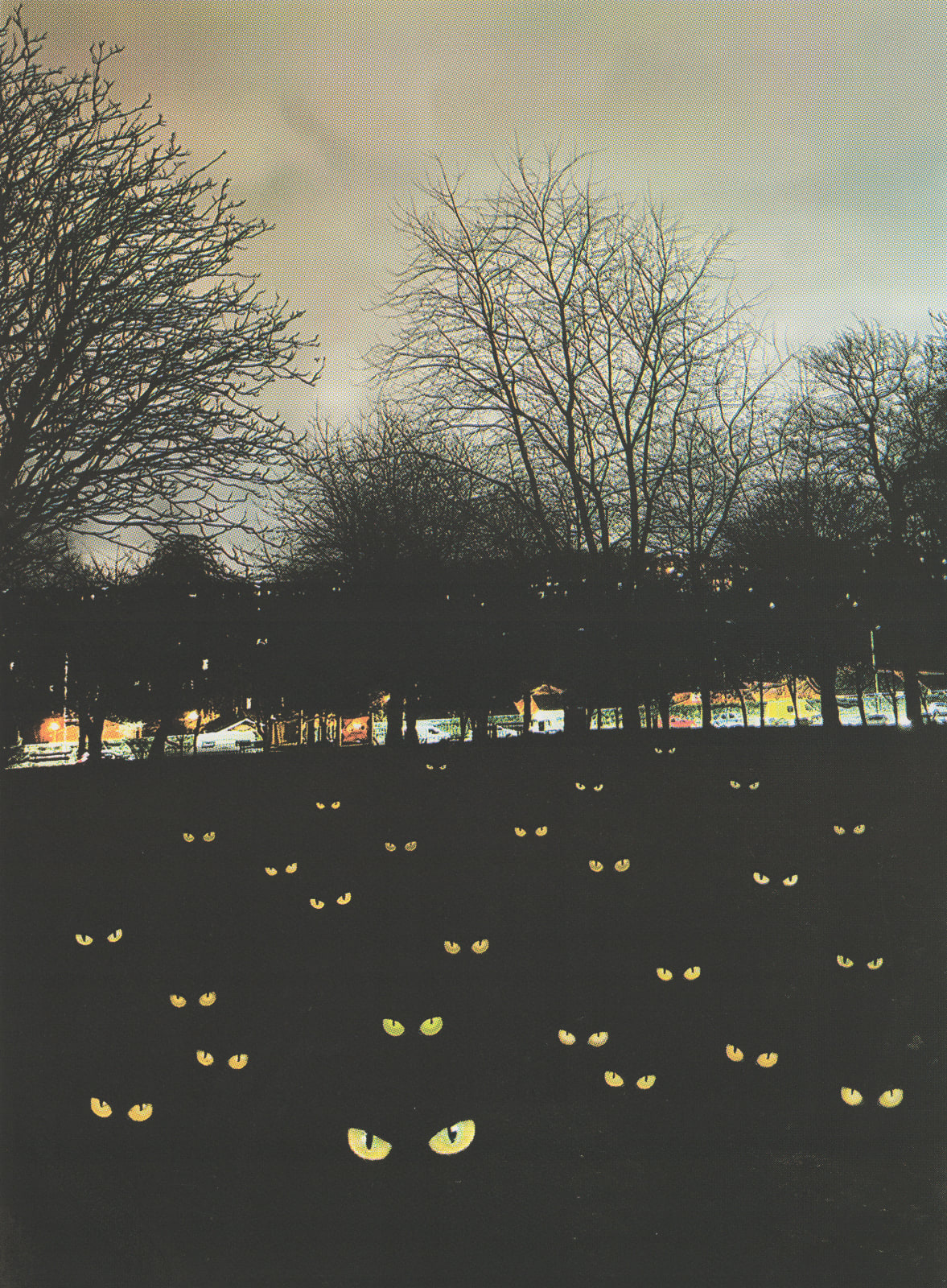 Diane Dawson, Parklife