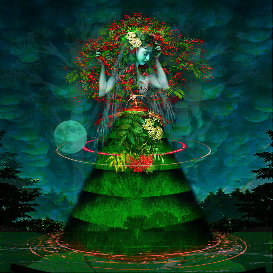 Ashley Cook, The Rowan Tree