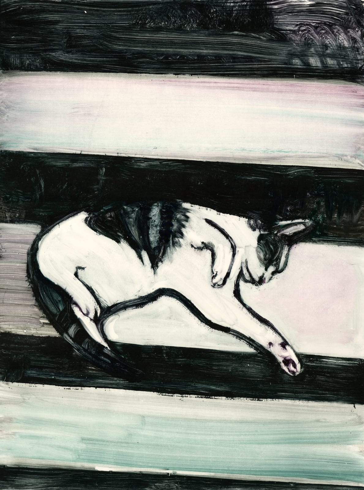 Marc Jennings, Tassie St. Cat, 2022