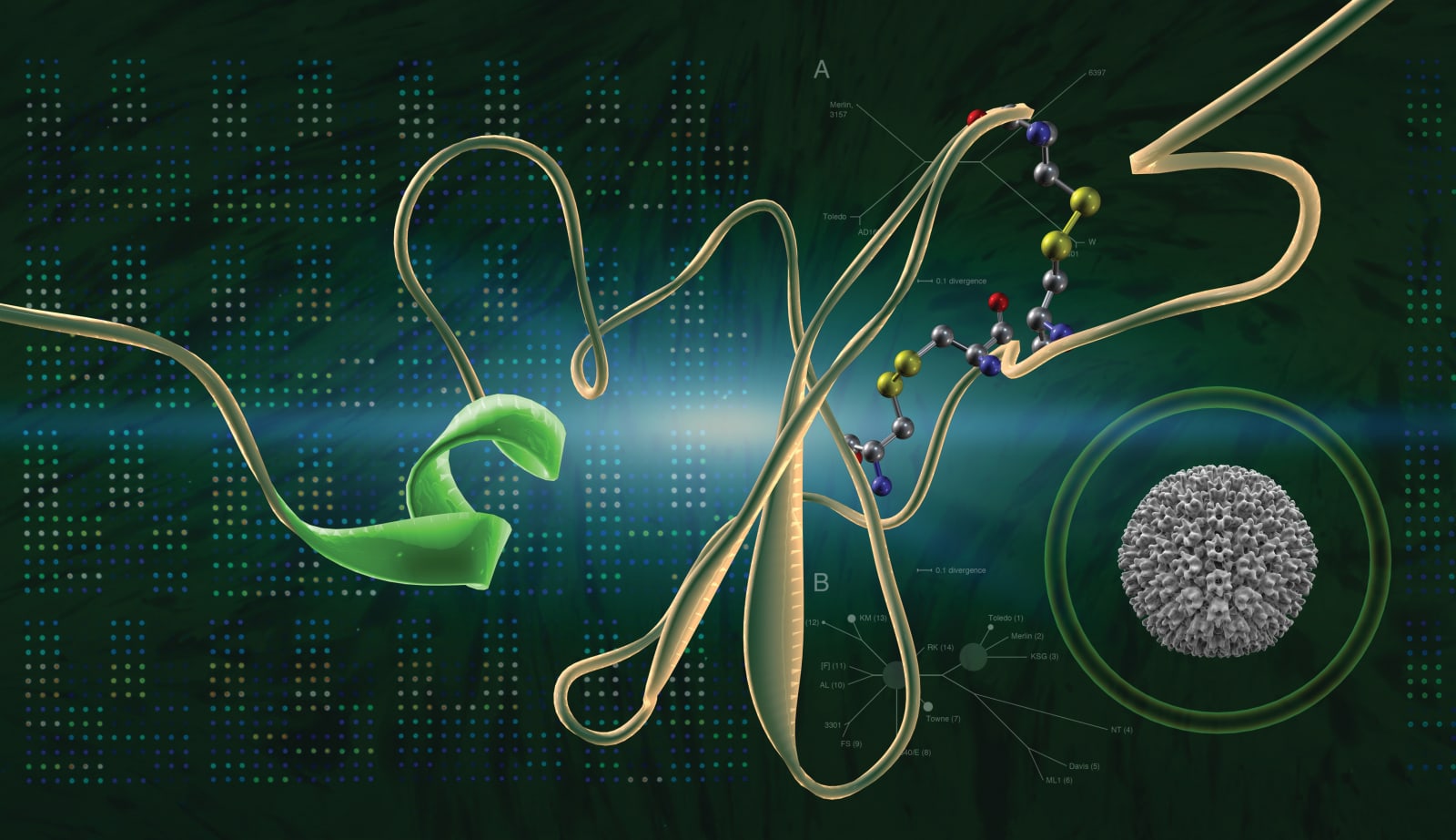 Murray Robertson, Cytomegalovirus, 2007