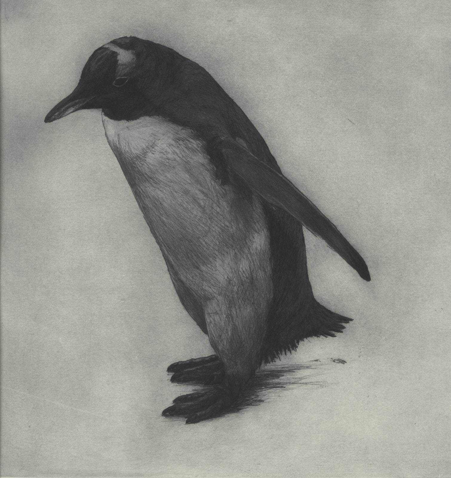 Helen Fay, Homeward Bound, 2007