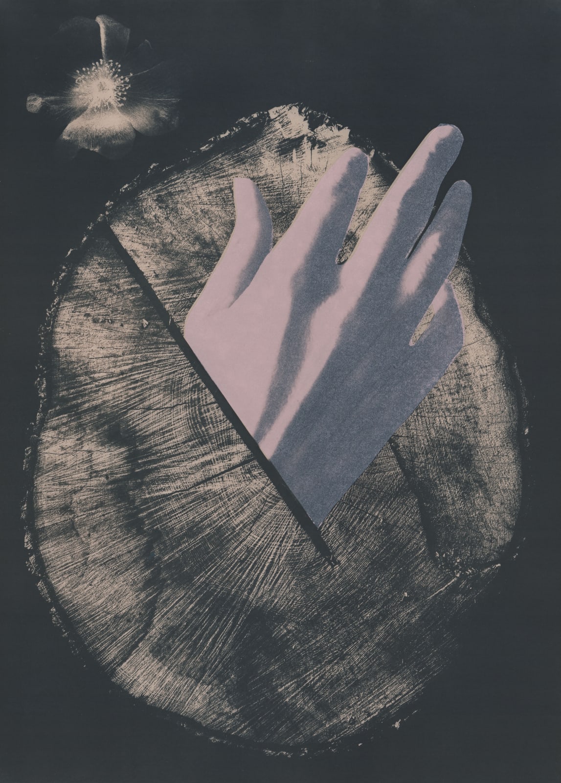 Sara Alonso, Queens Park Saviours, 2022