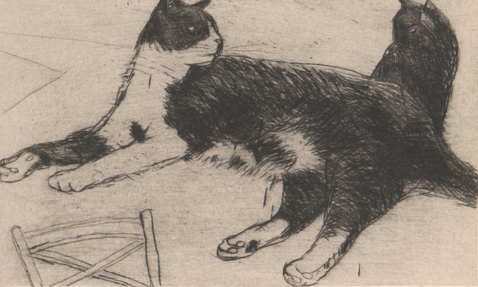 Elizabeth Blackadder, Fred II, 2000