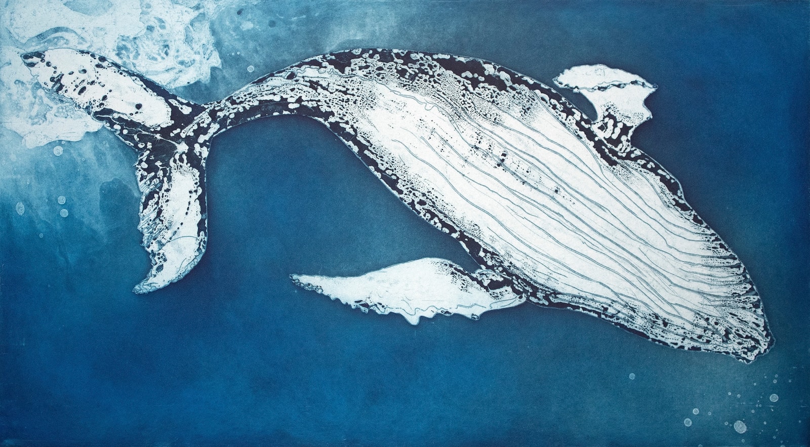 Marion MacPhee, Humpback, 2024