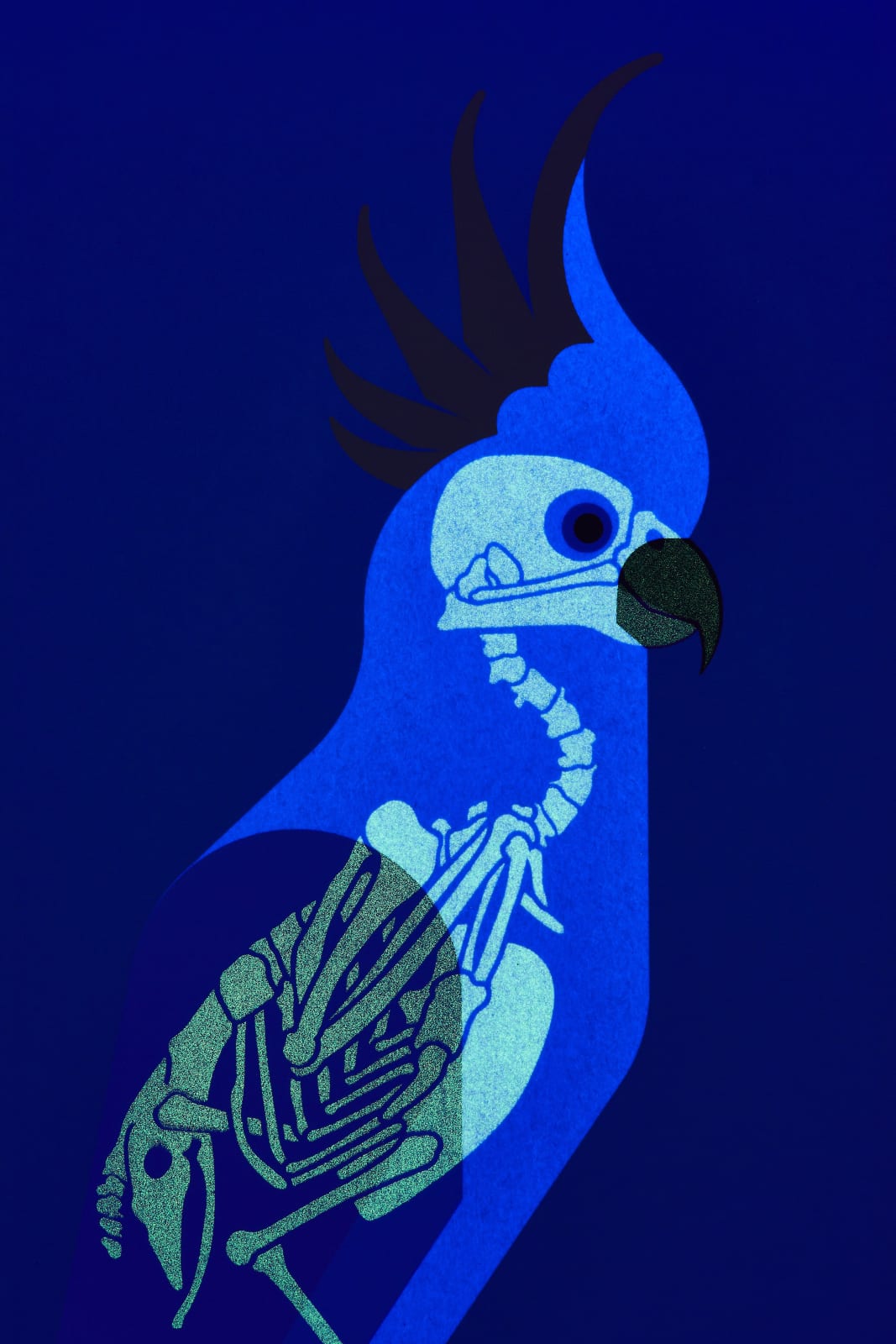 Under the Skin, Yellow-Crested Cockatoo, 2016