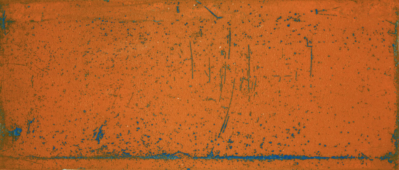 Maya McMahon-Boon, Nasturtium Yellow Over Blue II, 2025