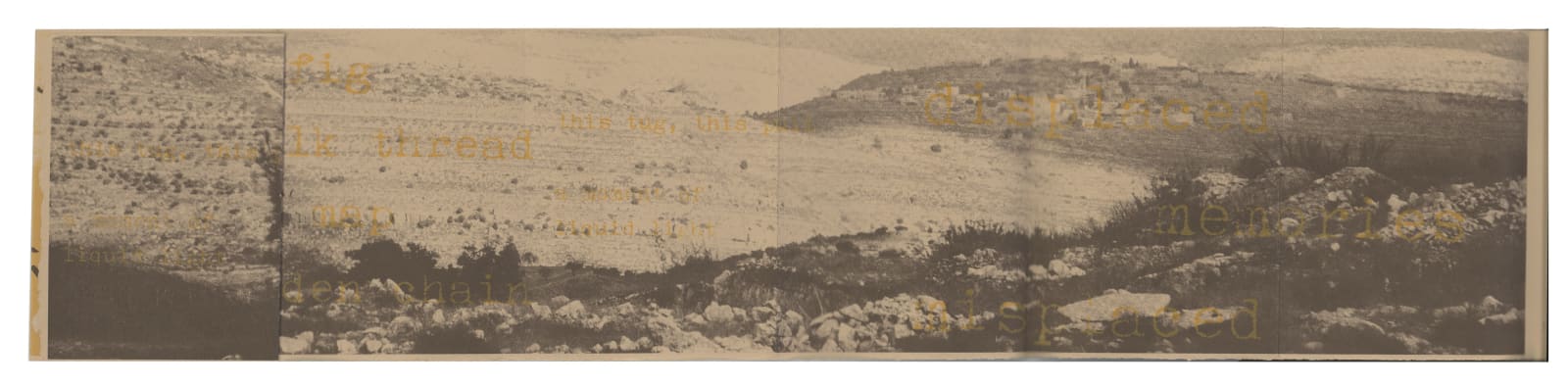 Leena Nammari, The View from Here (Collaboration with Poet, Robert Hampson), 2010