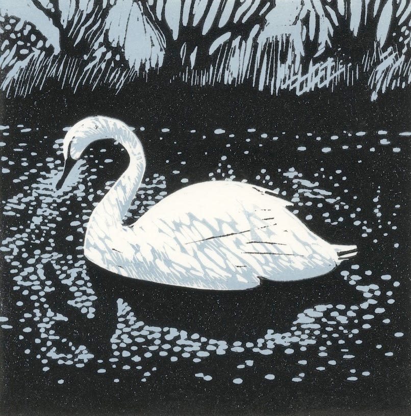 Nadia Lucchesi, Winter Swan, 2023