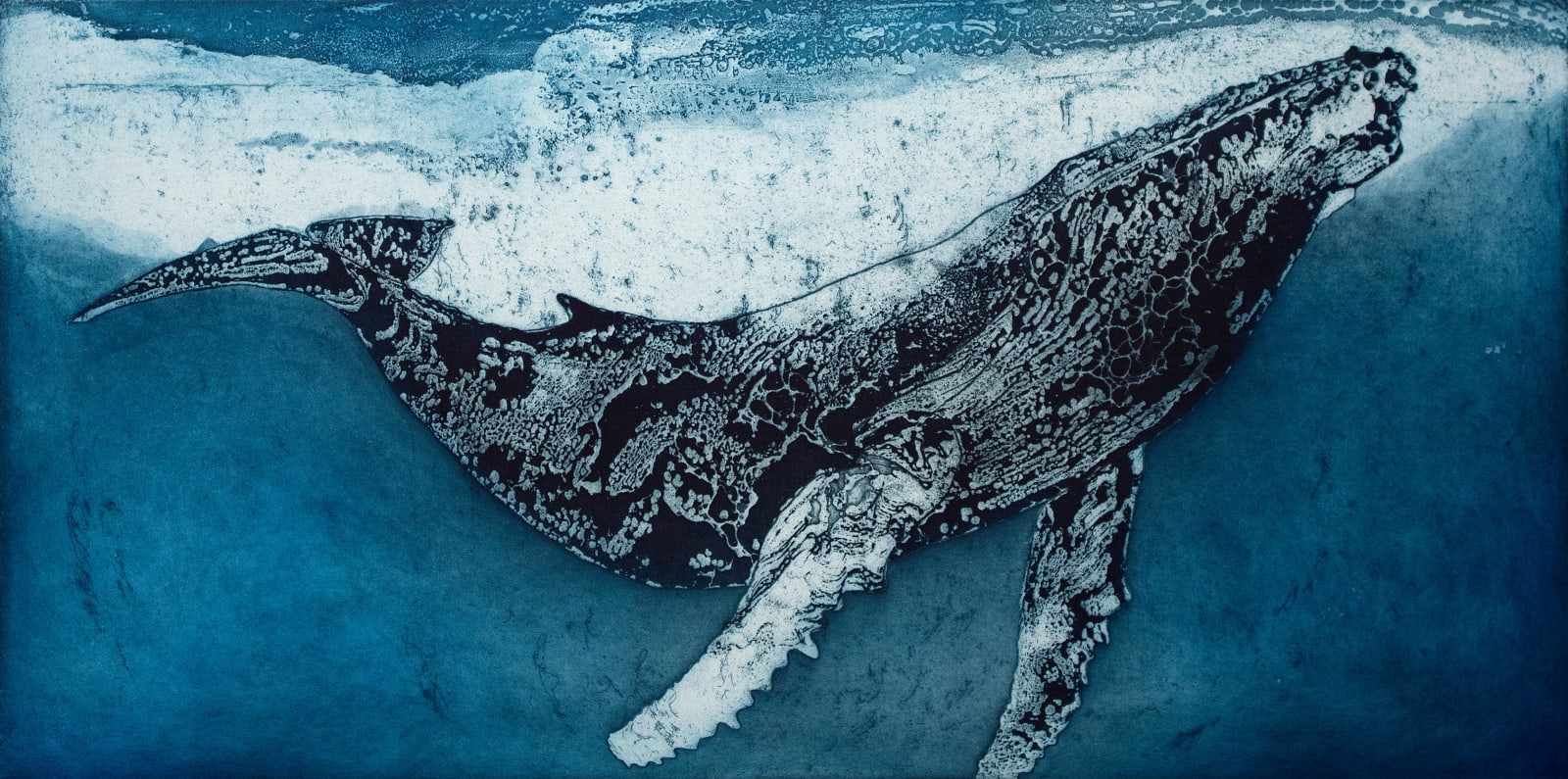 Marion MacPhee, Humpback Whale V, 2023