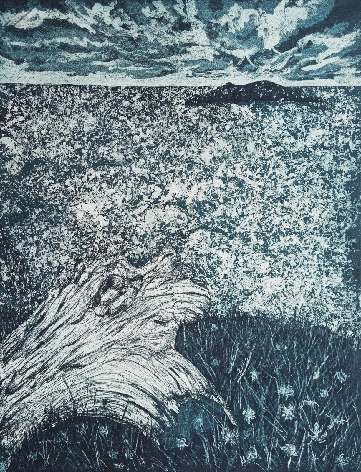 Zoë Kean, Passing Storm, 2024