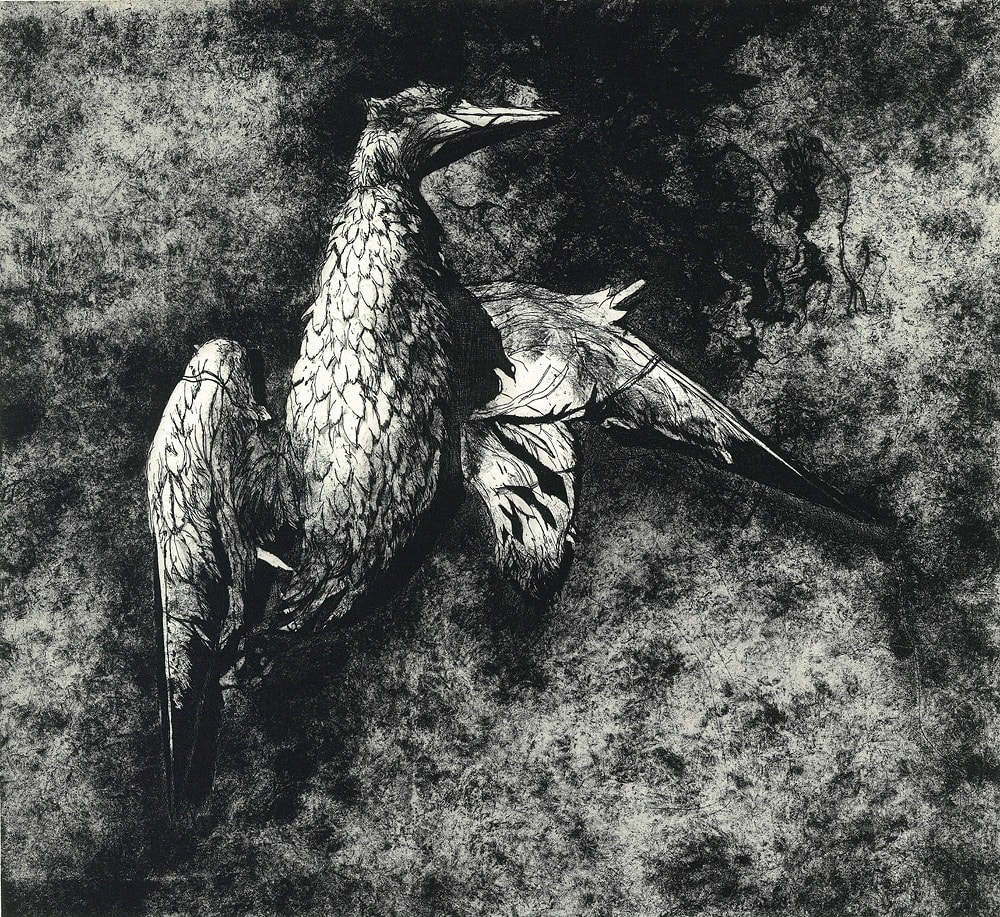 Ken Currie, Dead Gannet, Baleshare Beach, 2015