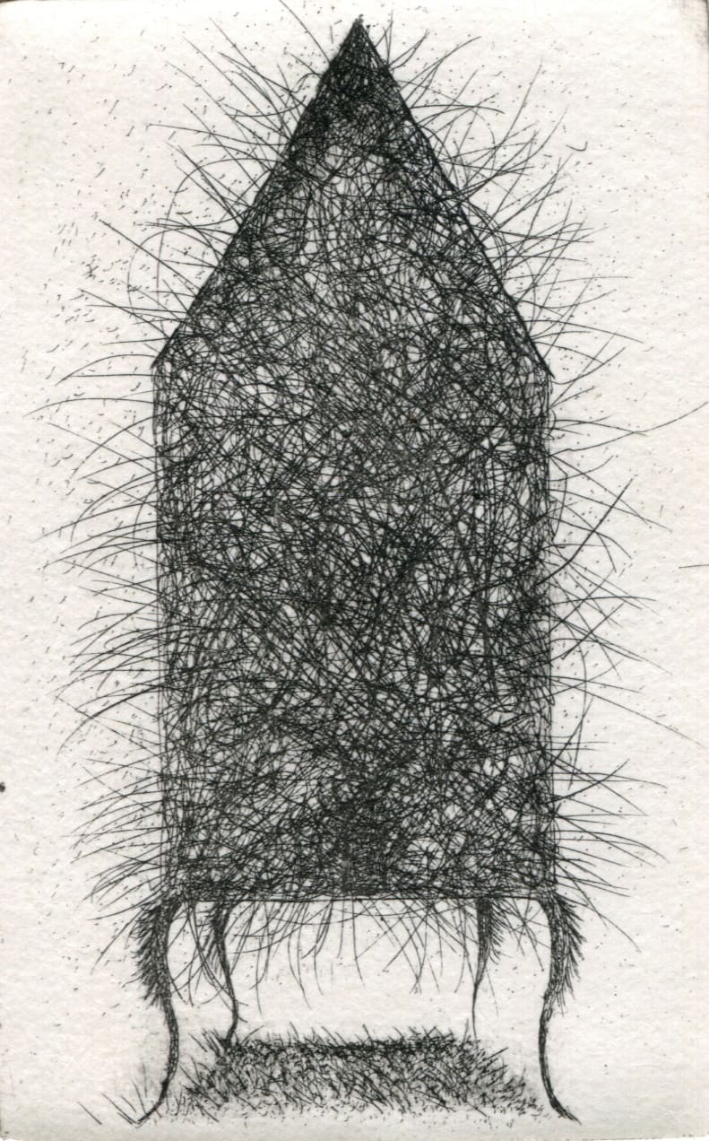 Heather Nevay, Buzzin