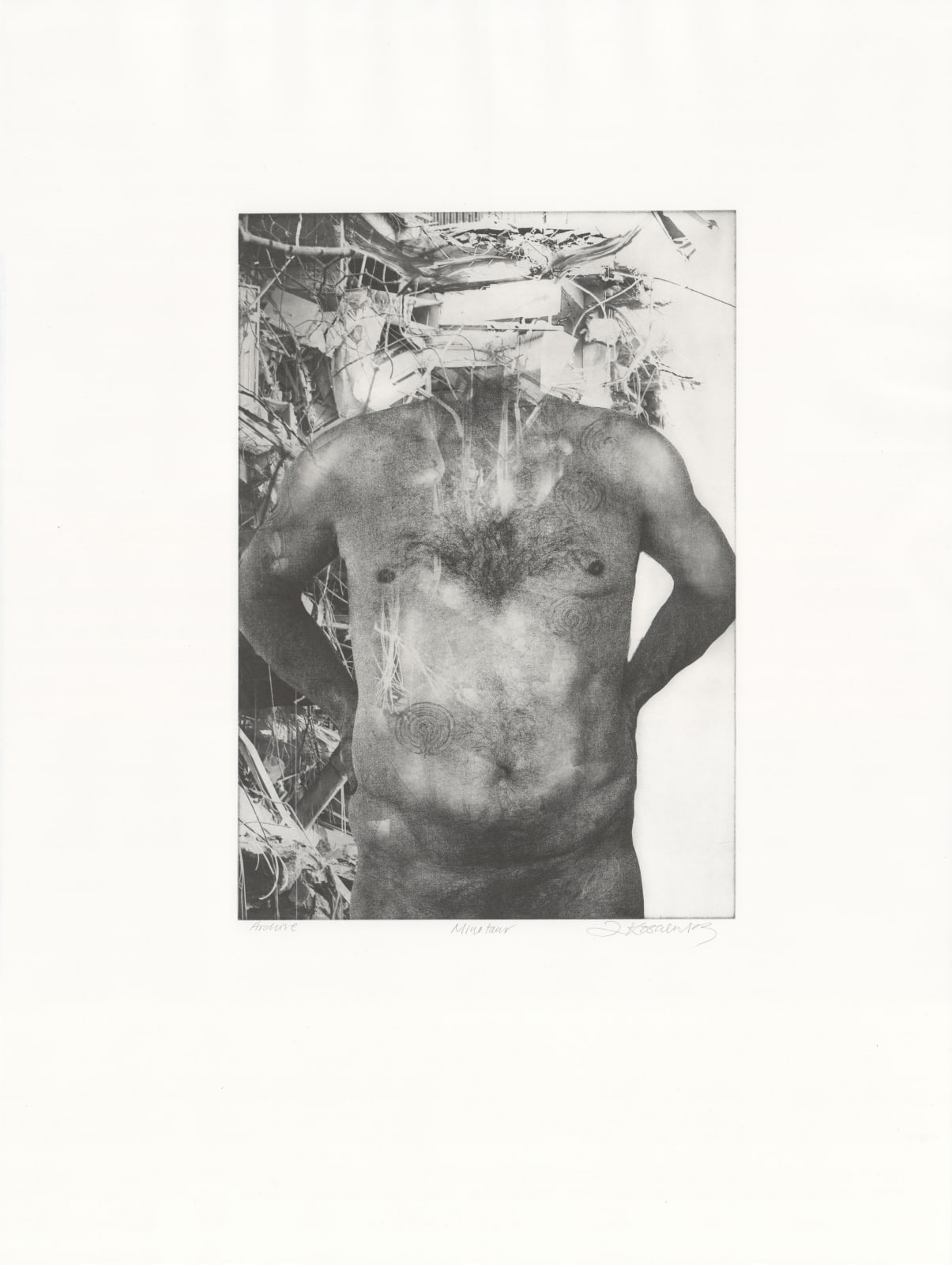 Linda Kosciewicz, Minotaur, 2022