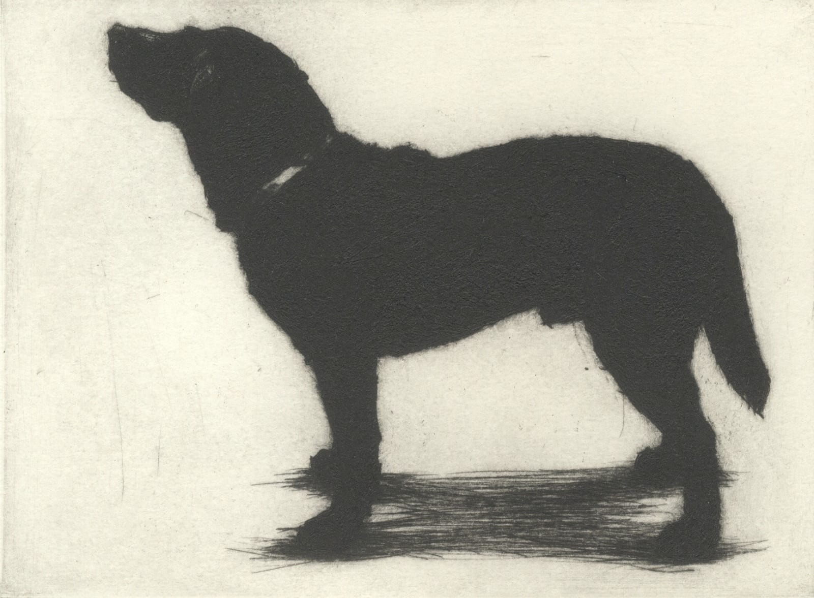 Helen Fay, Standing to Attention II, 2019