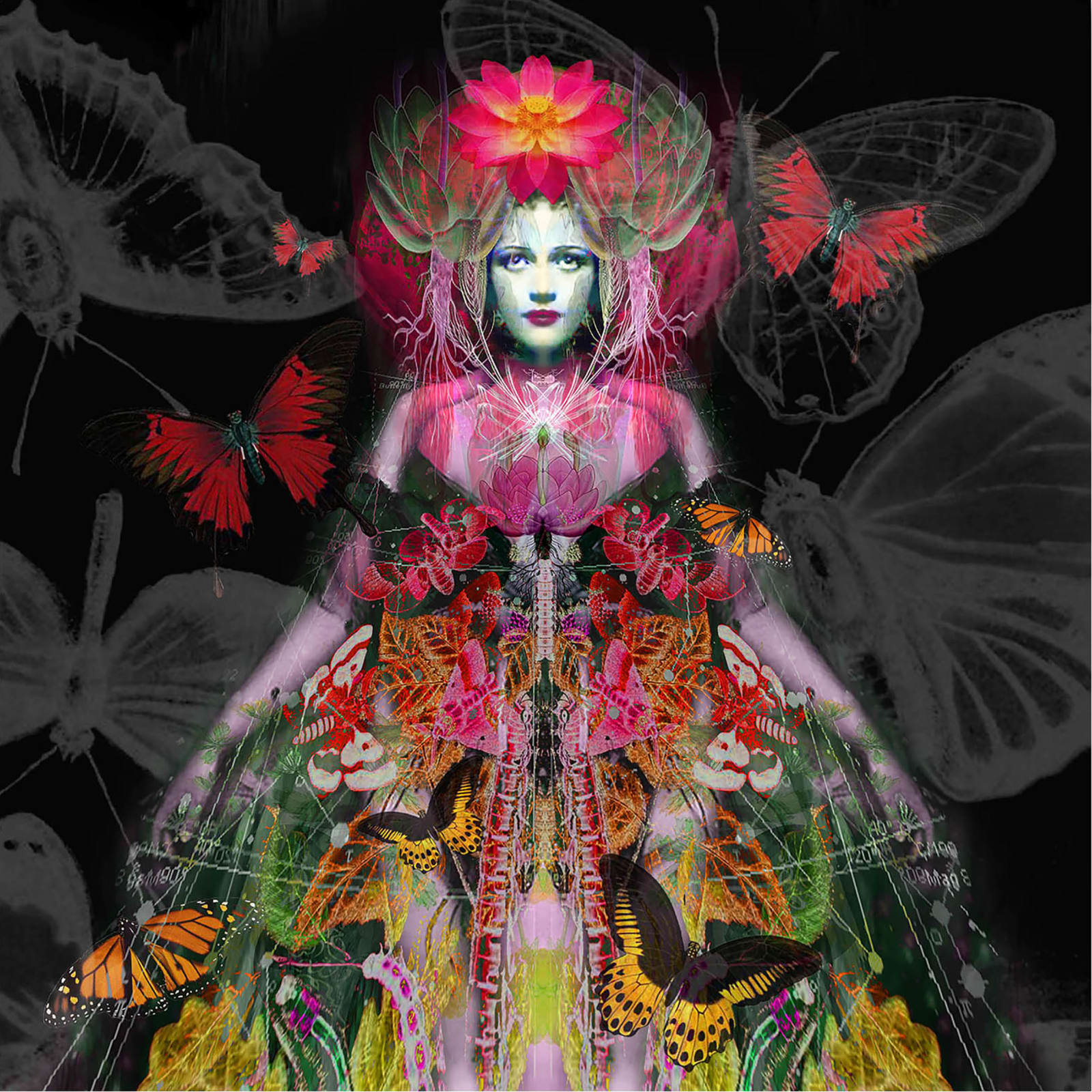 Ashley Cook, Madam Butterfly, 2019