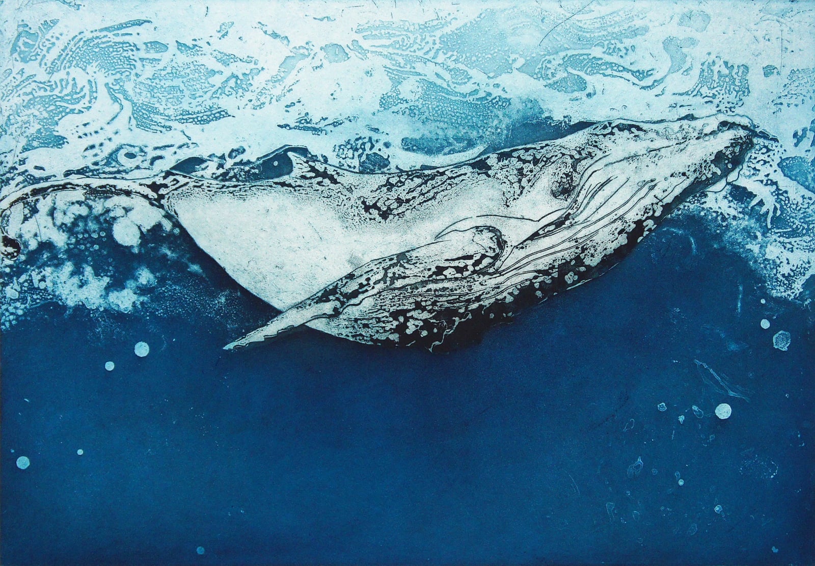 Marion MacPhee, Whale Calf, 2017