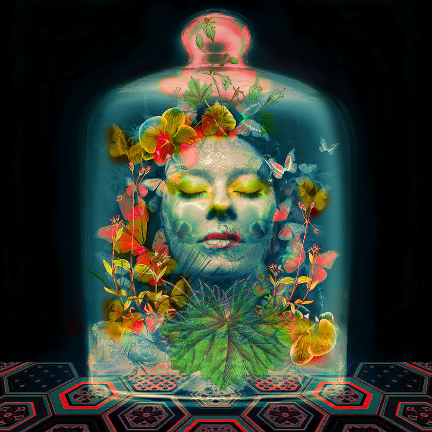 Ashley Cook, Connected