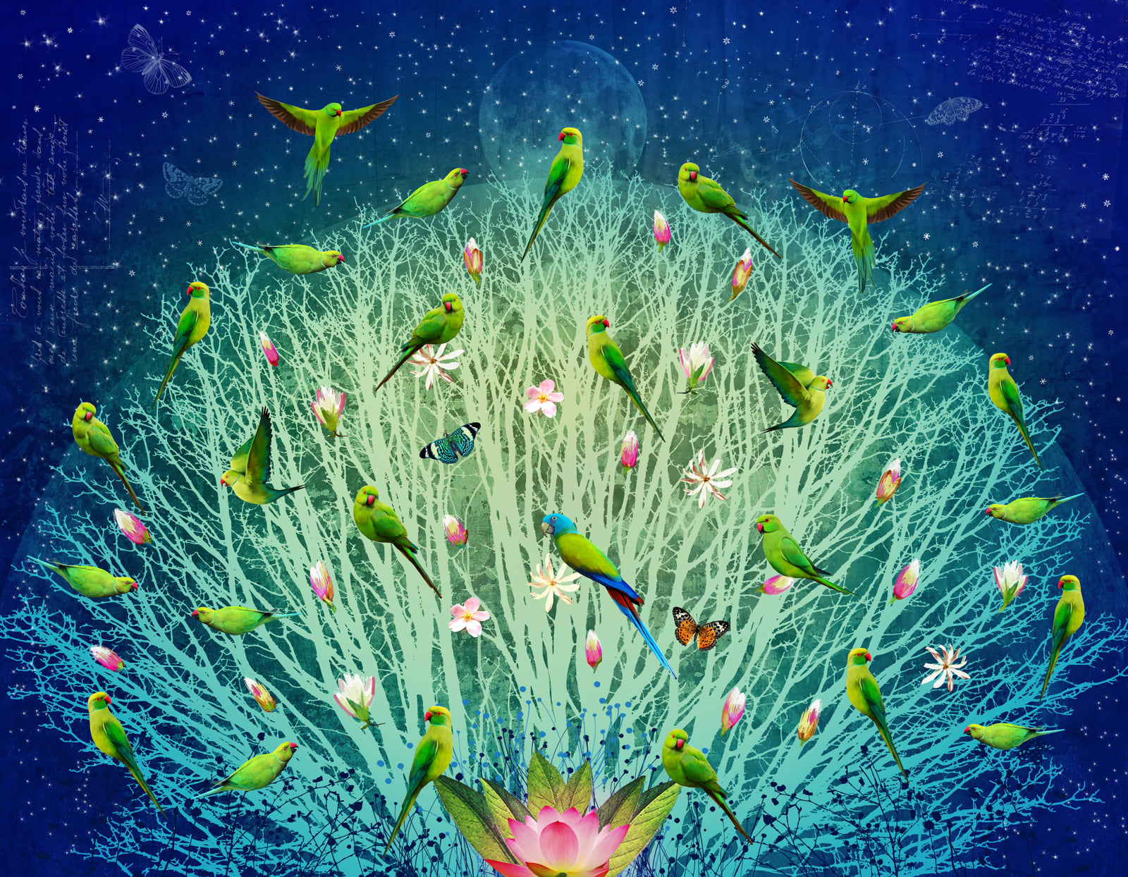 Fiona Watson, Parrots by Night