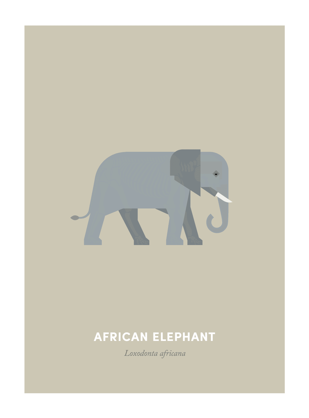 Under the Skin, African Elephant, 2015