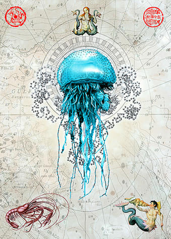 Murray Robertson, Queen of the Deep II, 2011